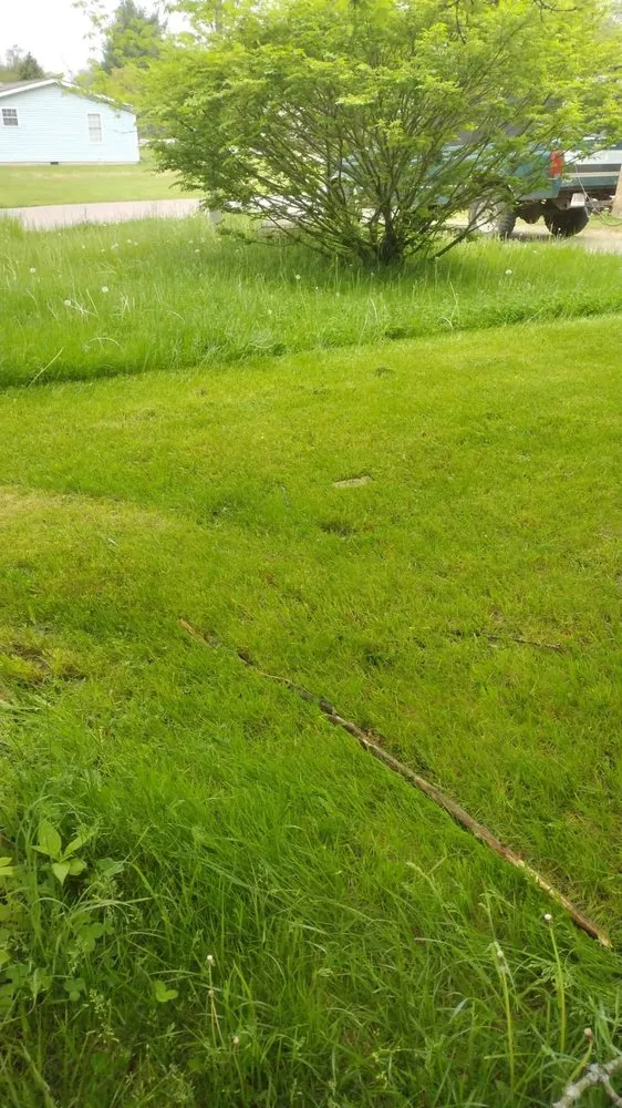 Trusted yard cleanup service in Fremont, IN - Outlaw Landscaping & Lawn