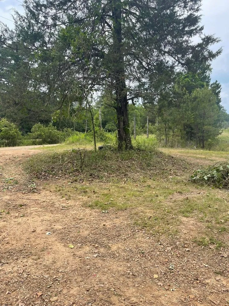 Expert landscaping services in Rudy, AR - Outlaw Landscaping & More