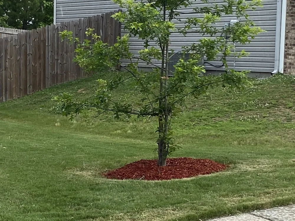 Professional yard cleanup service for outdoor upgrades in Carrollton, GA by Outlaw Landscaping