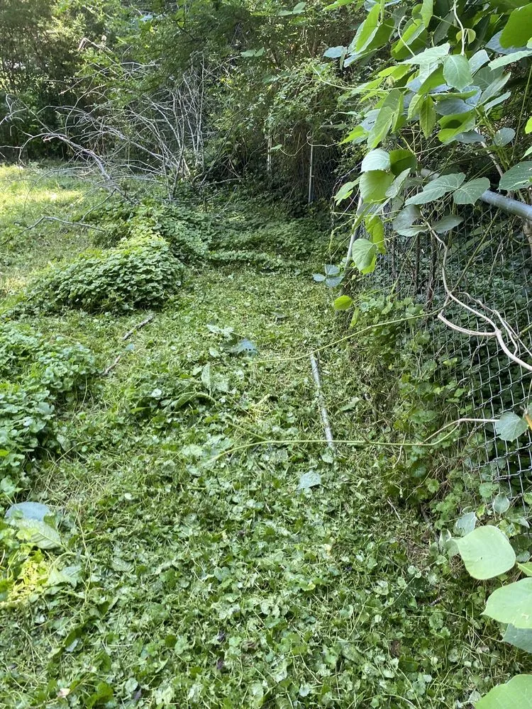 Professional outdoor landscaping experts serving Carrollton, GA - Outlaw Landscaping