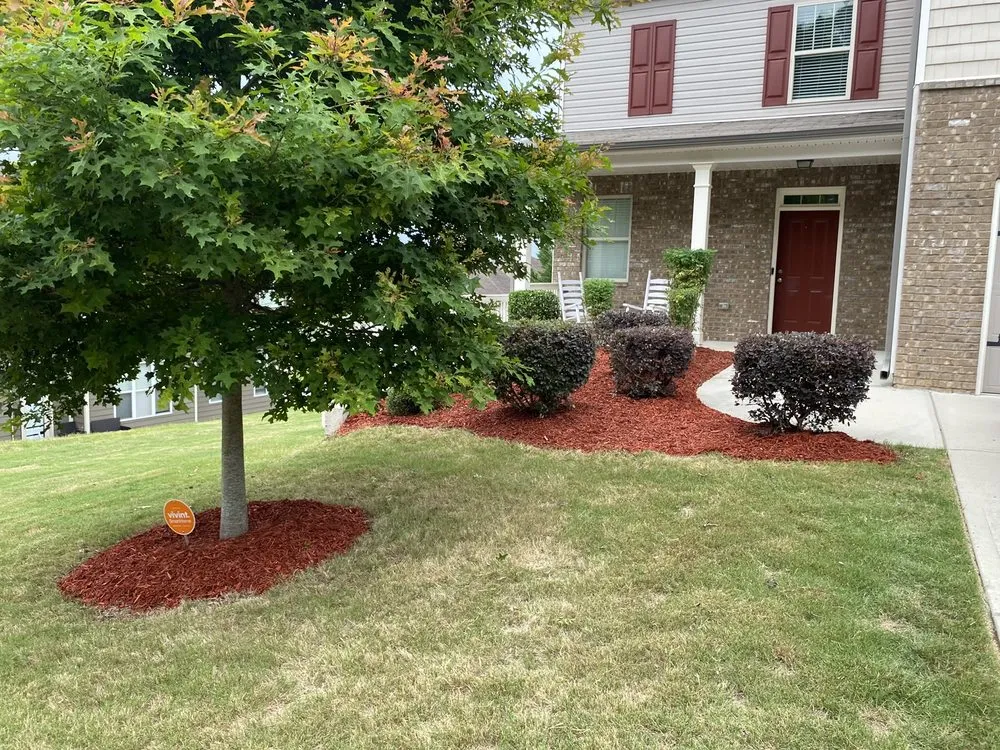 Affordable yard cleanup service for outdoor upgrades across Carrollton, GA - Outlaw Landscaping