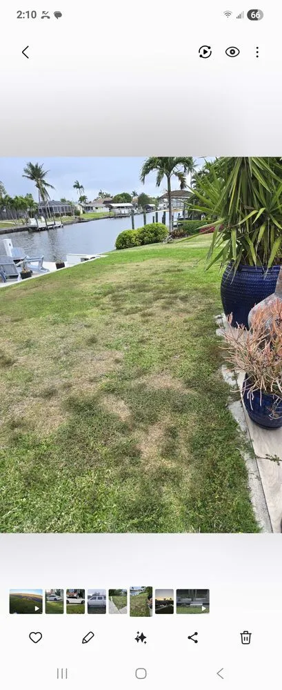 Reliable landscape installation in Cape Coral, FL by Outlaw Lawn and Pool Service