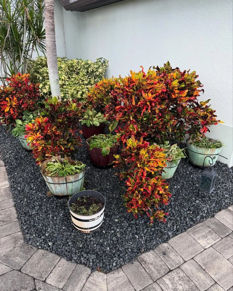 Affordable lawn care service in Cape Coral, FL - Outlaw Lawn and Pool Service