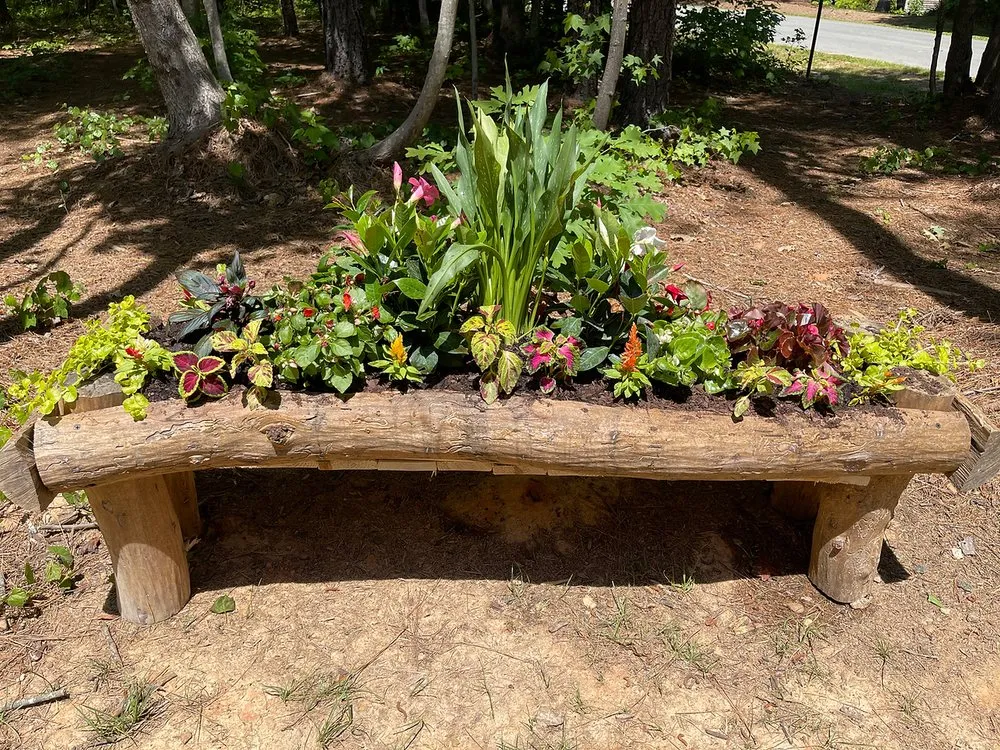 Top-rated yard cleanup service with custom design across Oxford, NC - Outlawn Landscape & Management