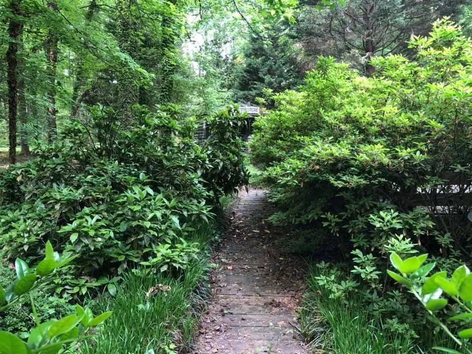 Expert landscape design in Oxford, NC by Outlawn Landscape & Management