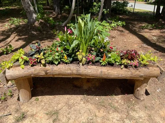 Outlawn Landscape & Management