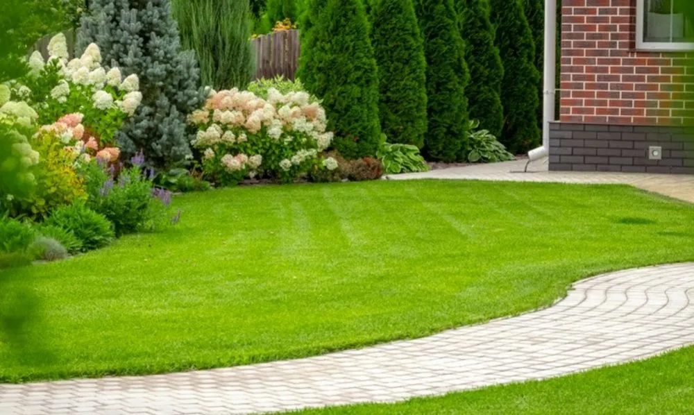 Top-rated yard maintenance experts serving Tavares, FL - Outlook Lawn & Landscape