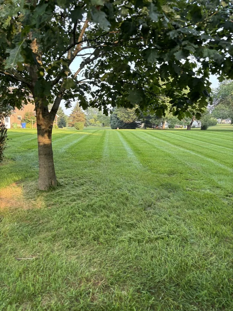 Custom landscape installation in Lebanon, PA - Outrageous Landscaping