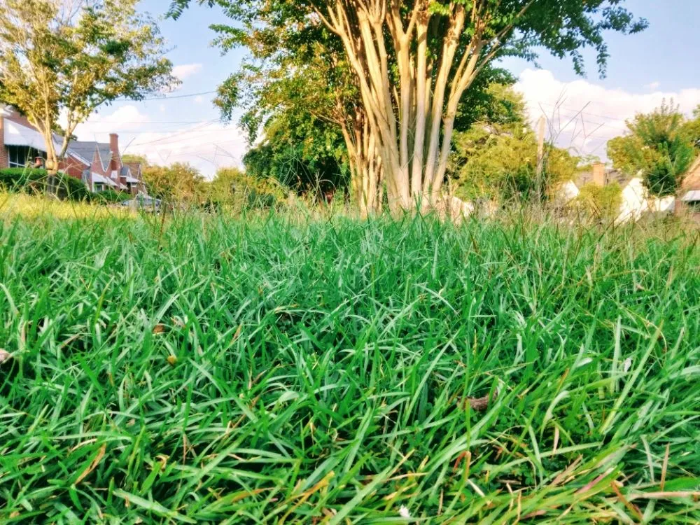 Top-rated landscape design experts serving Columbus, GA - Outreach LAWN CARE