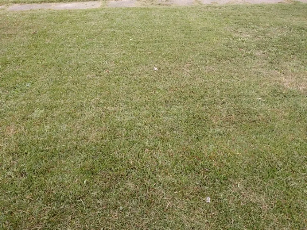 Expert lawn mowing service for residential properties across Columbus, GA - Outreach LAWN CARE