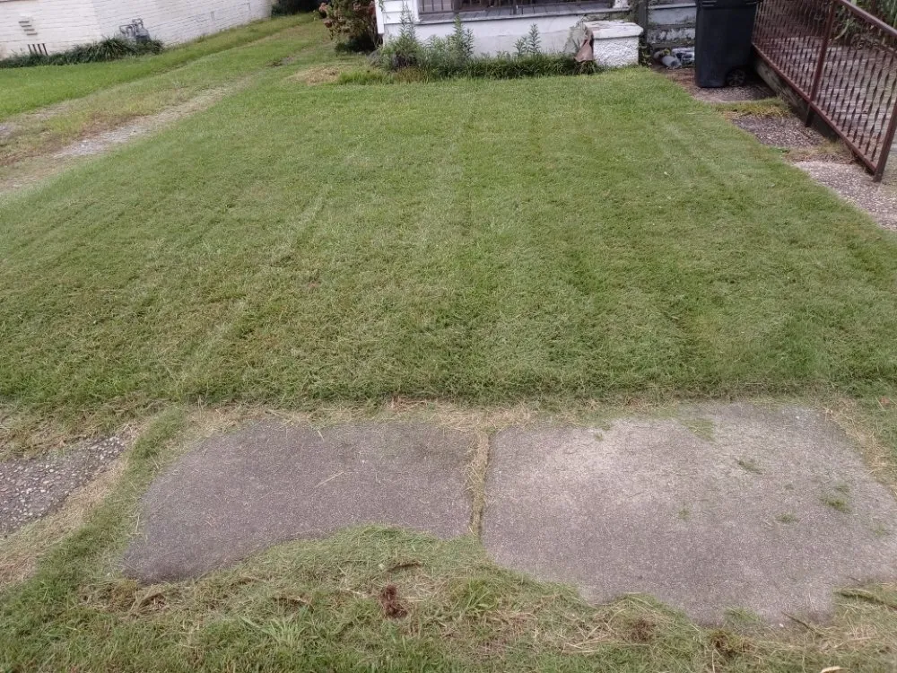 Top-rated outdoor landscaping in Columbus, GA by Outreach LAWN CARE