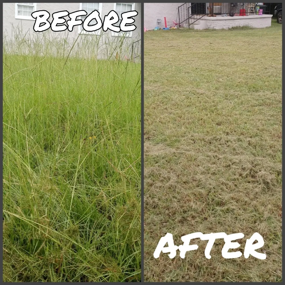 Top-rated landscaping services for outdoor upgrades in Columbus, GA by Outreach LAWN CARE