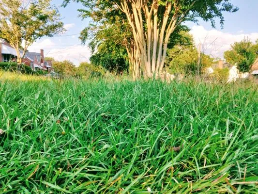 Outreach LAWN CARE Logo