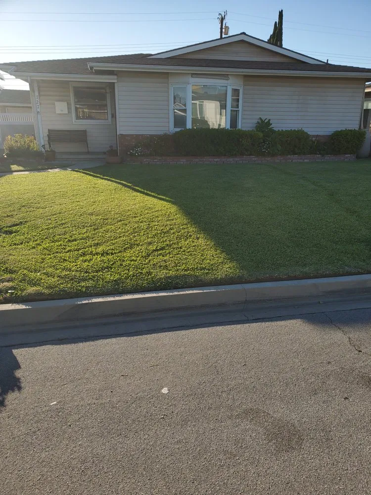 Local yard cleanup service with custom design across Covina, CA - Outright Landscape