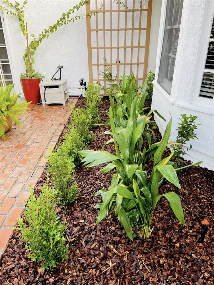 Local residential landscaping in Covina, CA by Outright Landscape