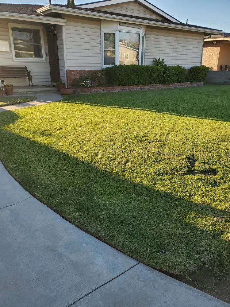 Custom landscape installation for beautiful yards in Covina, CA by Outright Landscape