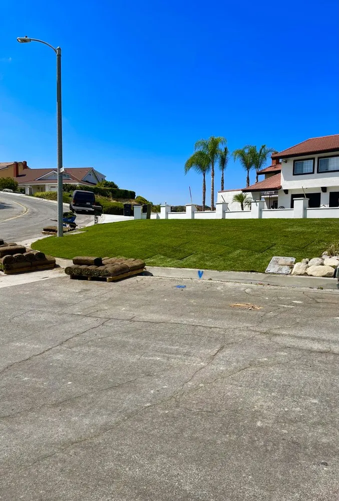 Expert landscaping services for outdoor upgrades across Covina, CA - Outright Landscape