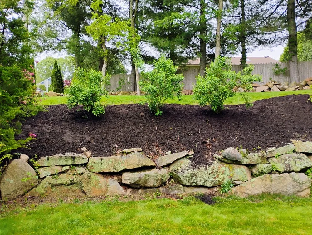 Professional yard maintenance for beautiful yards in Saunderstown, RI by Outshine Landscaping