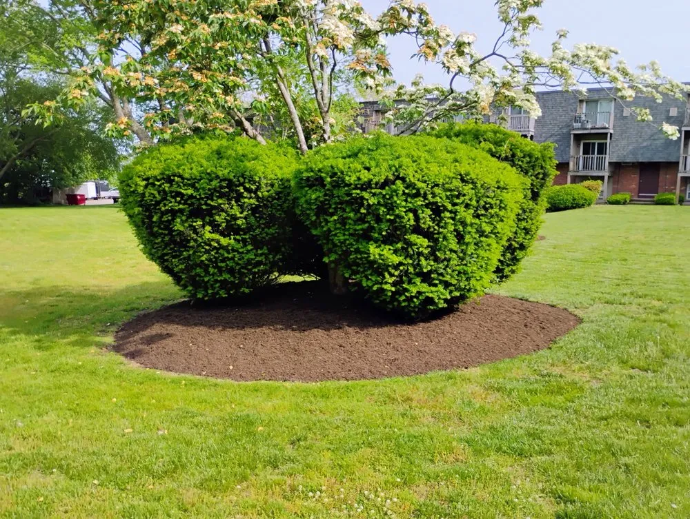 Expert landscape design in Saunderstown, RI - Outshine Landscaping