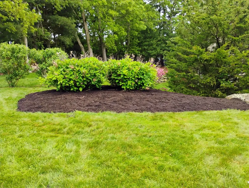 Custom yard cleanup service in Saunderstown, RI - Outshine Landscaping