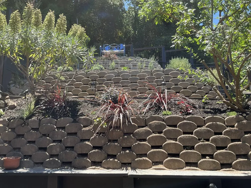 Custom yard cleanup service with custom design across Berkeley, CA - Outside Collective