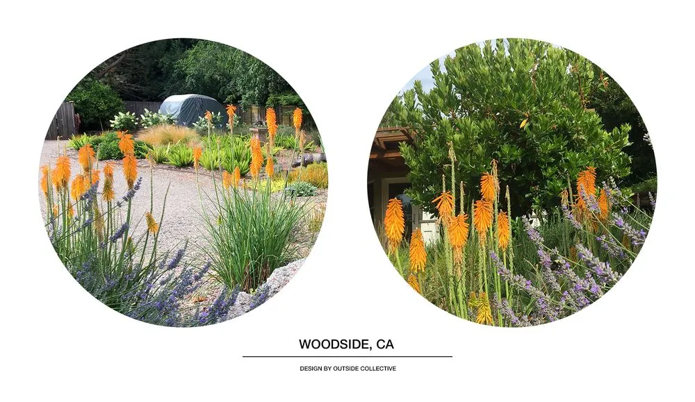 Affordable yard maintenance in Berkeley, CA by Outside Collective