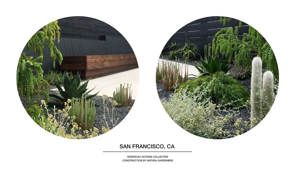 Professional landscape design experts serving Berkeley, CA - Outside Collective
