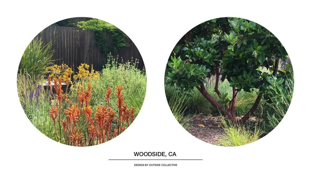 Custom yard maintenance in Berkeley, CA - Outside Collective