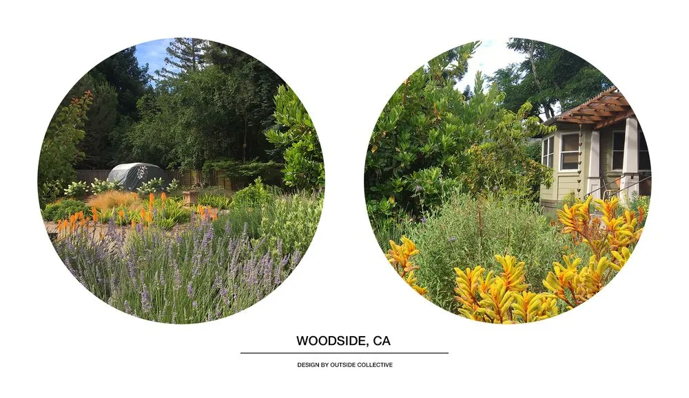 Custom outdoor landscaping in Berkeley, CA - Outside Collective