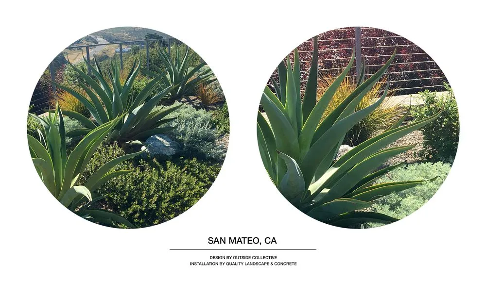 Reliable residential landscaping in Berkeley, CA by Outside Collective