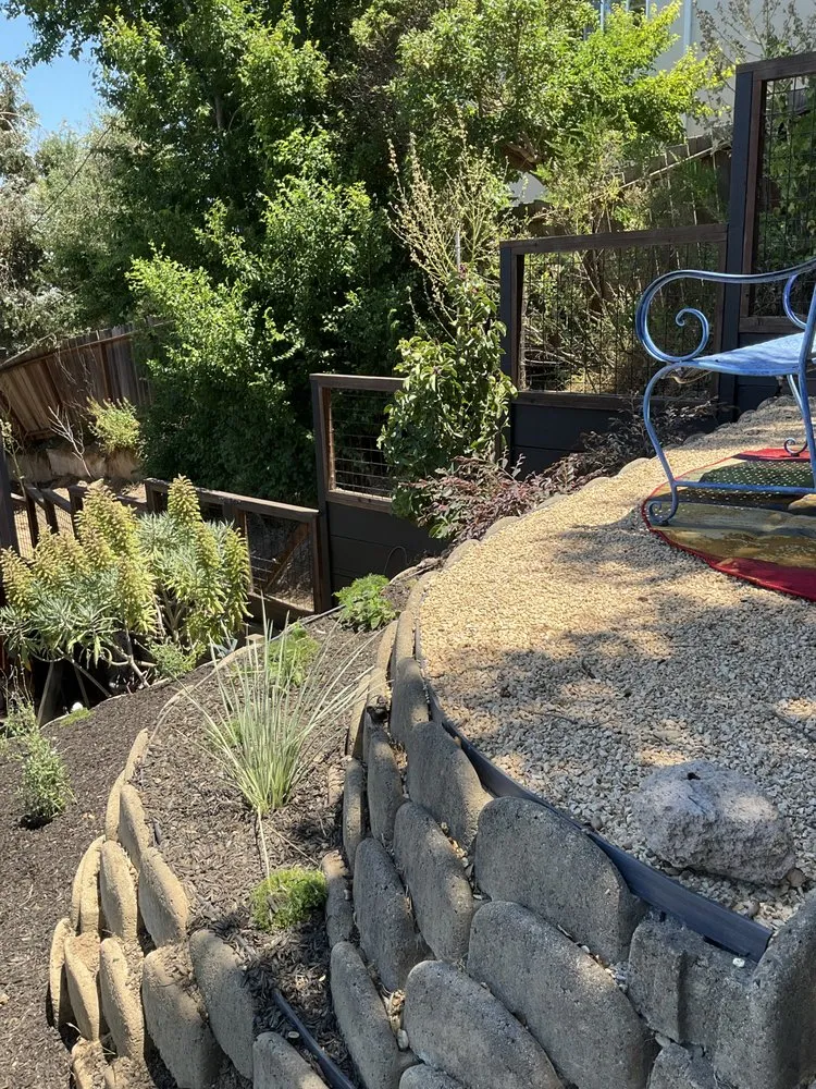 Reliable garden landscaping with custom design across Berkeley, CA - Outside Collective