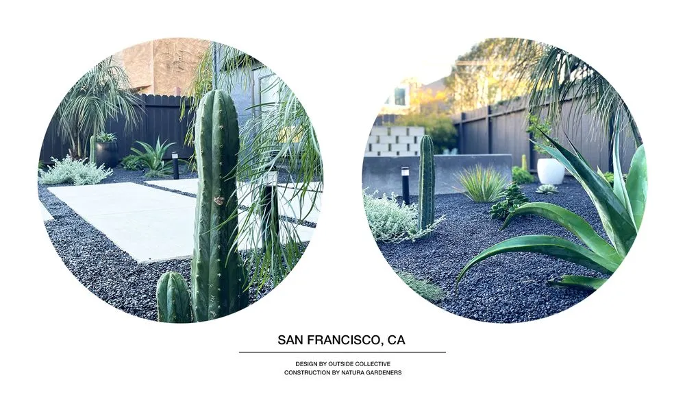 Local landscape design for beautiful yards in Berkeley, CA by Outside Collective