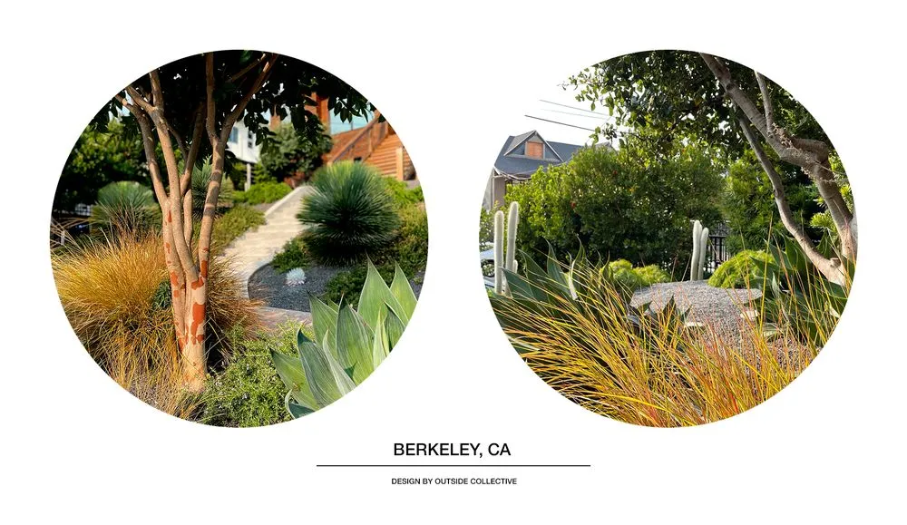 Affordable outdoor landscaping in Berkeley, CA - Outside Collective