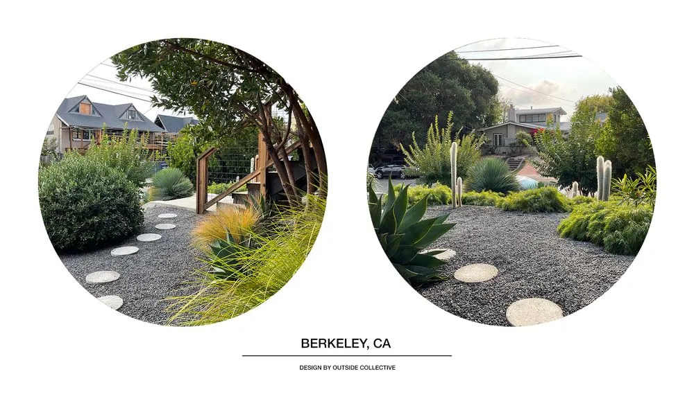 Expert lawn care service in Berkeley, CA - Outside Collective