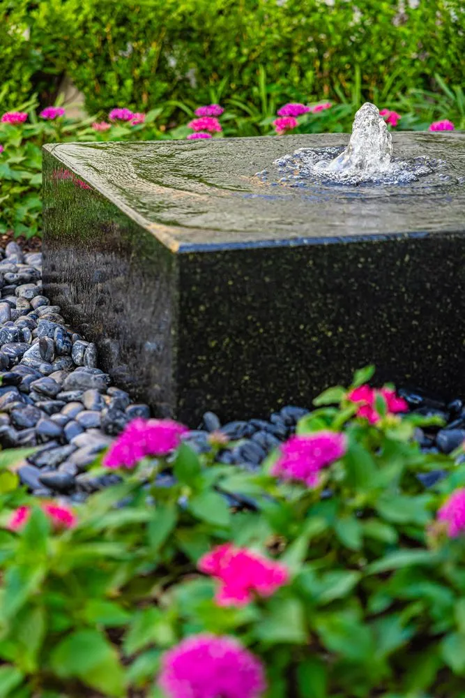 Custom yard cleanup service in Dallas, TX - Outside