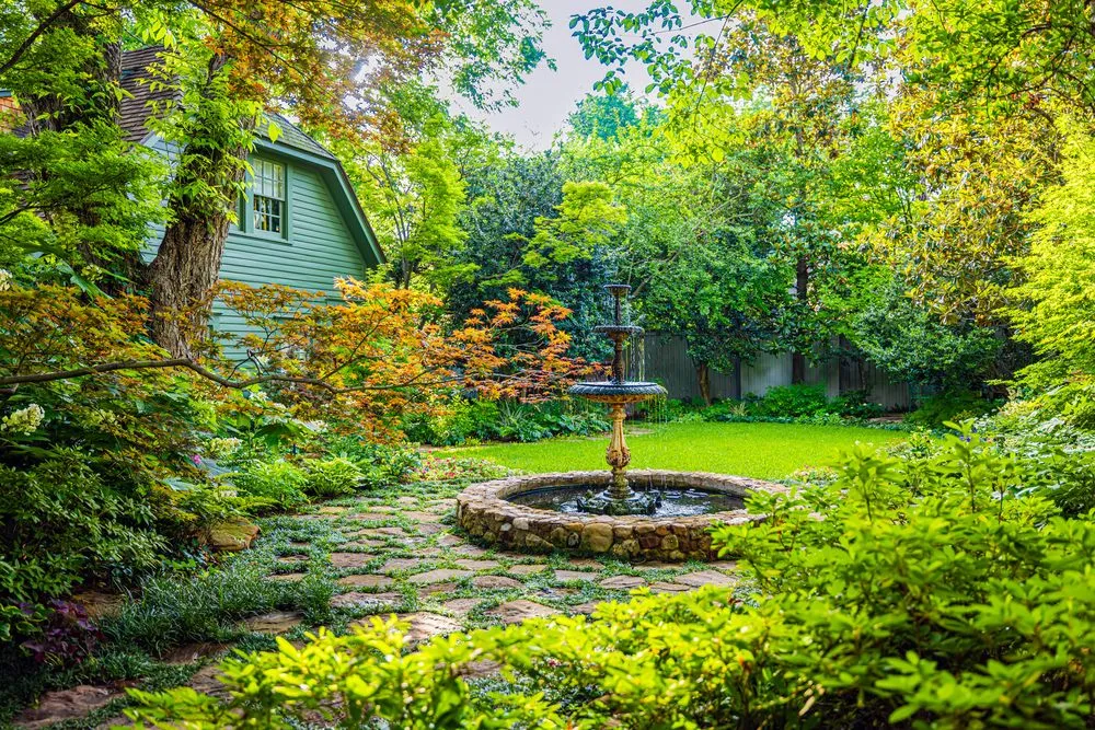 Expert lawn care service in Dallas, TX - Outside