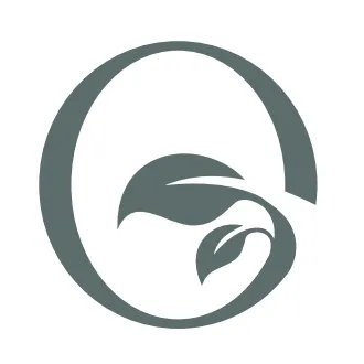 Local landscaping services for beautiful yards across Dallas, TX - Outside