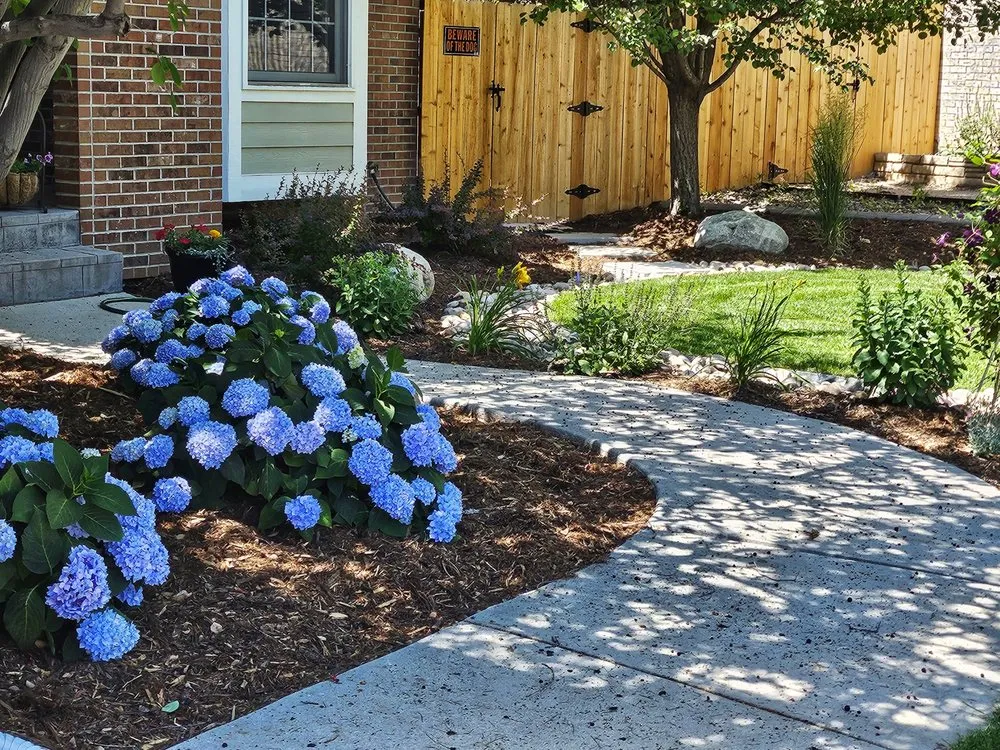Top-rated landscaping services in Highlands Ranch, CO by Outside Dreams Landscape Design & Construction