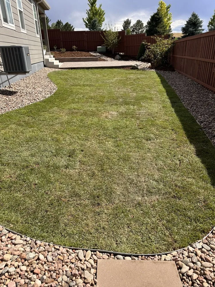 Trusted lawn mowing service in Highlands Ranch, CO - Outside Dreams Landscape Design & Construction