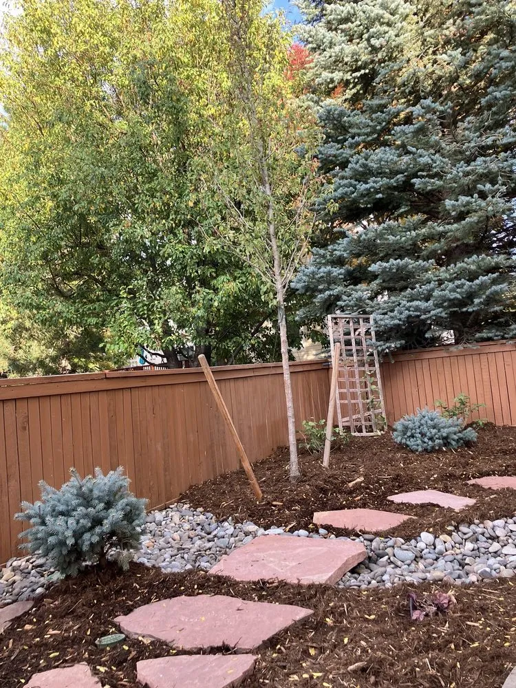 Top-rated yard cleanup service in Highlands Ranch, CO by Outside Dreams Landscape Design & Construction