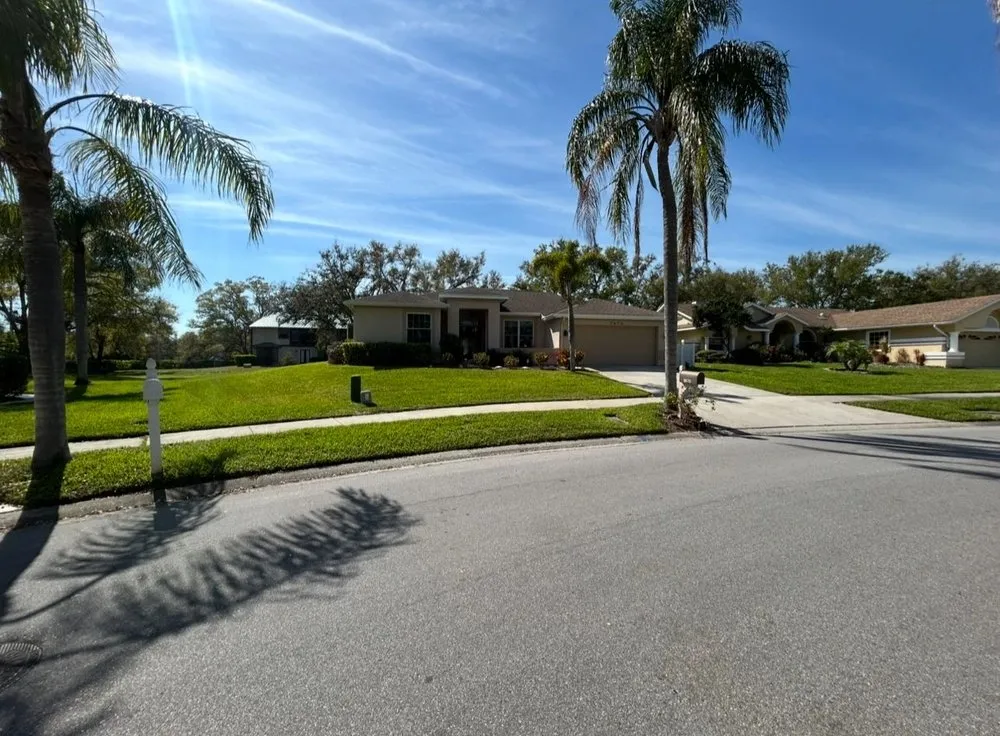 Trusted landscaping services for homes in Tampa Bay, FL by Outside Excellence