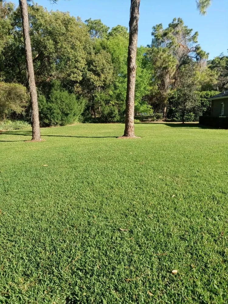 Expert garden landscaping with custom design across Tampa Bay, FL - Outside Excellence