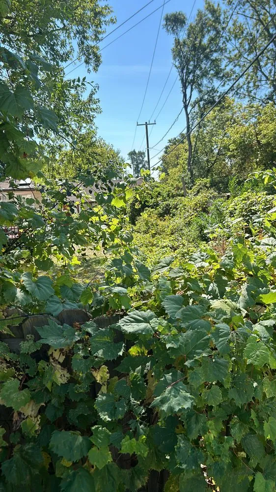 Local lawn care service in Pontiac, MI - Outside Guy