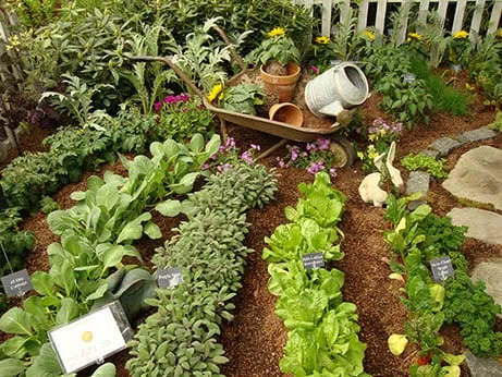 Affordable landscape installation in Milford, OH - Outside Influence Landscape Design Group