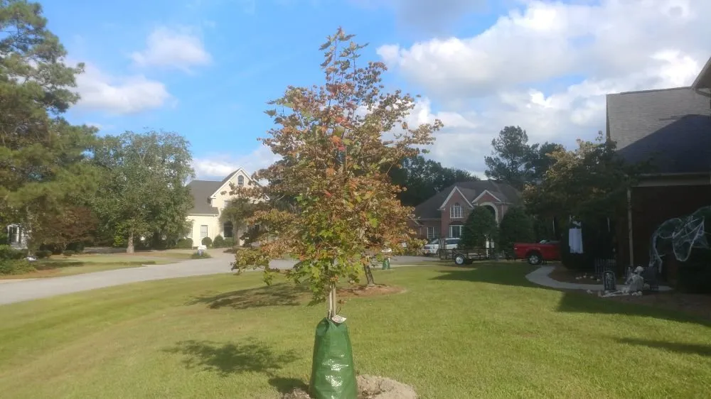 Custom outdoor landscaping for homes across Maysville, NC - Outside Keeper