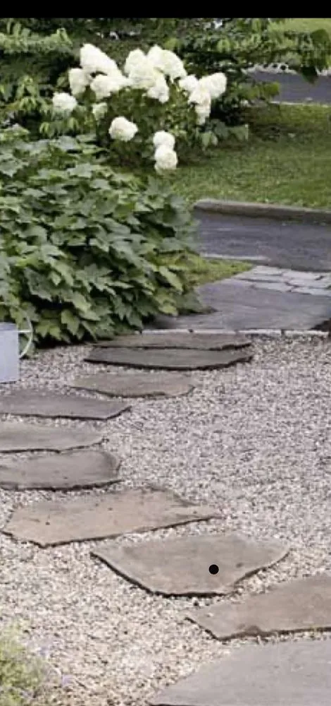 Trusted yard cleanup service for year-round maintenance across Conway, AR - Outside Oasis