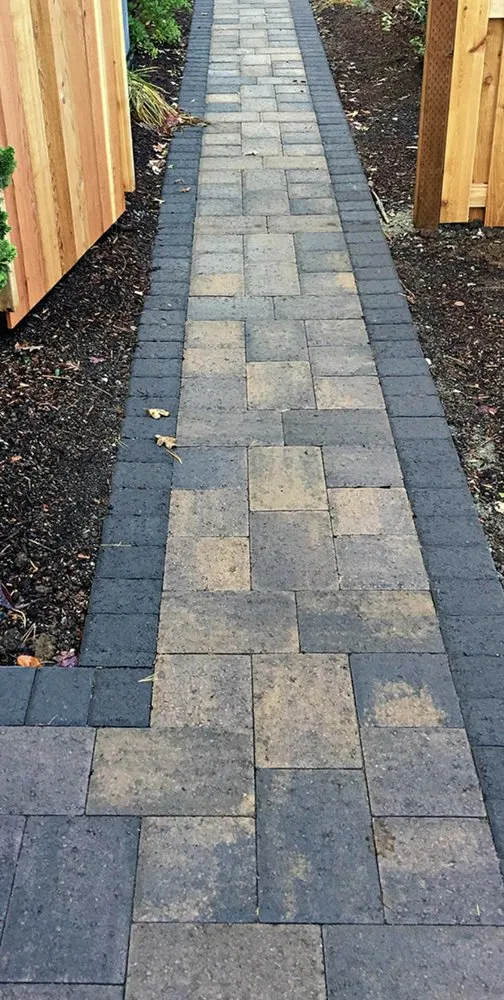 Trusted landscape design for year-round maintenance across Conway, AR - Outside Oasis