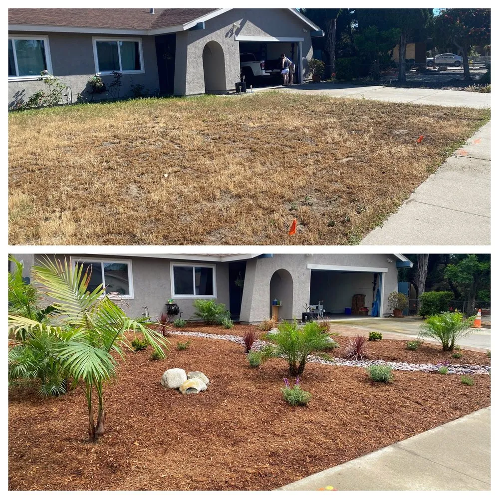 Custom landscape installation in Fallbrook, CA - Outside Solution Landscaping