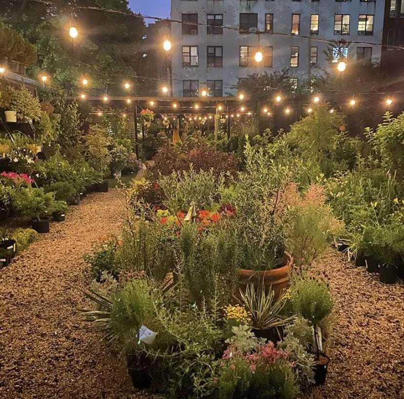 Local outdoor landscaping in Brooklyn, NY - Outside Space - Brooklyn