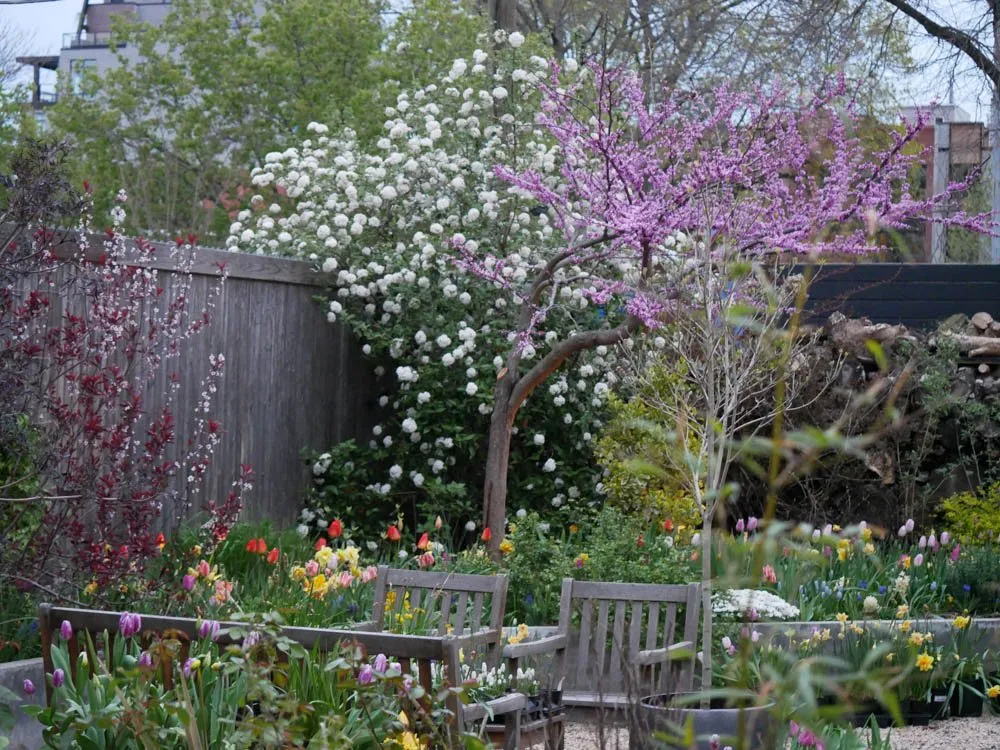 Professional residential landscaping with custom design in Brooklyn, NY by Outside Space - Brooklyn